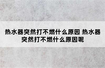 热水器突然打不燃什么原因 热水器突然打不燃什么原因呢